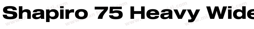 Shapiro 75 Heavy Wide字体转换